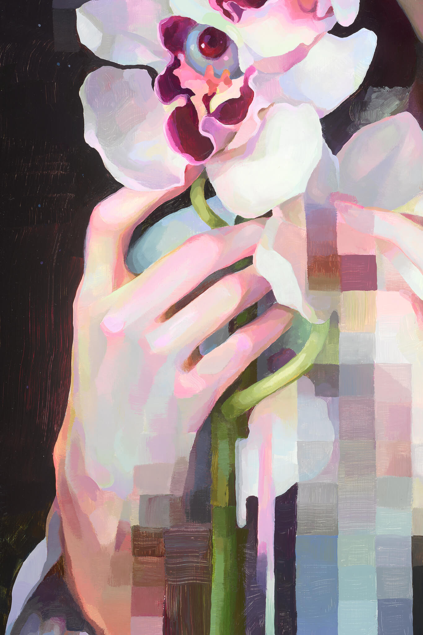 Anima - Image 3